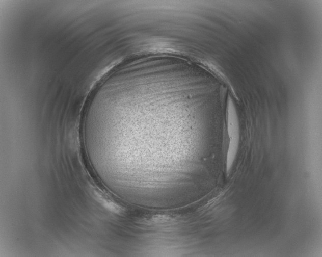 X0000061110390200512022131