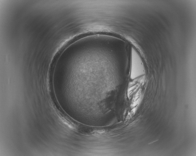 X0000061110391200512022131