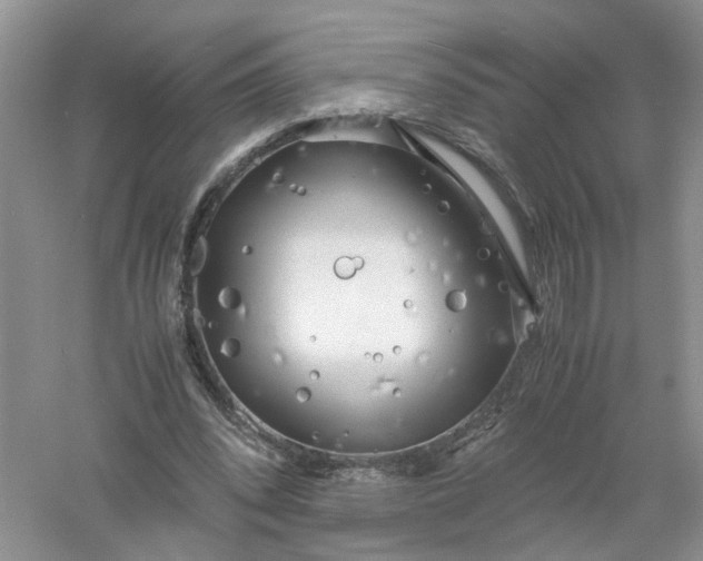 X0000061110392200512022131