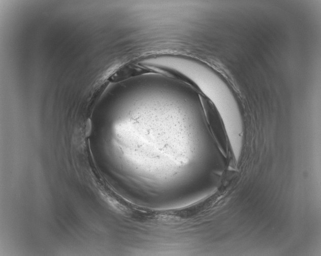 X0000061110393200512022131