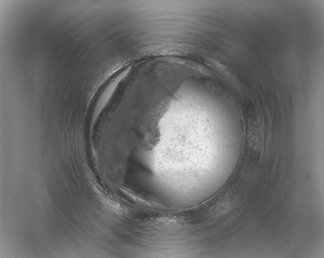 X0000061110394200512022131