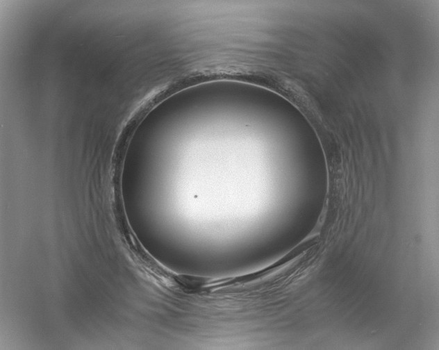 X0000061110395200512022131