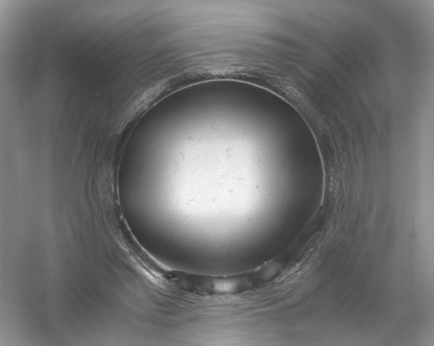 X0000061110397200512022131