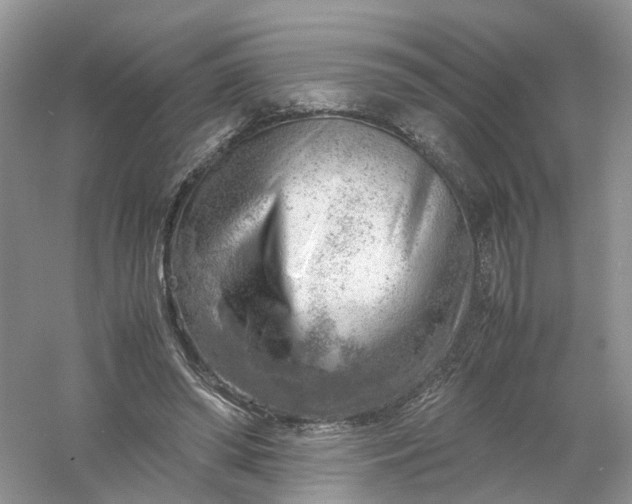 X0000061110398200512022131