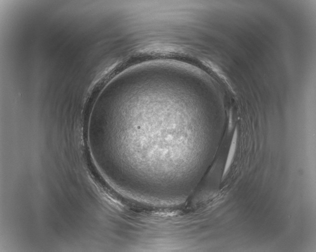 X0000061110399200512022131