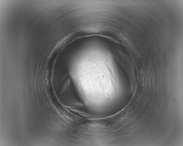 X0000061110400200512022131