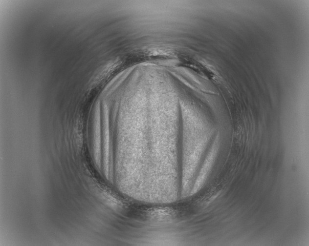 X0000061110402200512022131