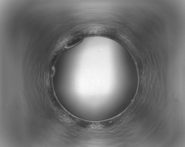 X0000061110403200512022131