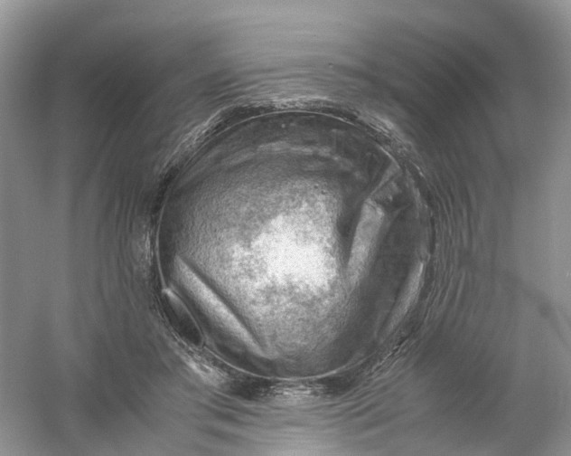 X0000061110405200512022131