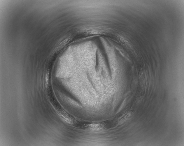 X0000061110406200512022131