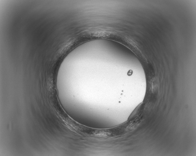 X0000061110407200512022131