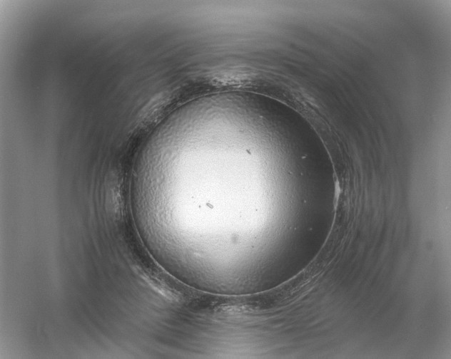 X0000061110408200512022131