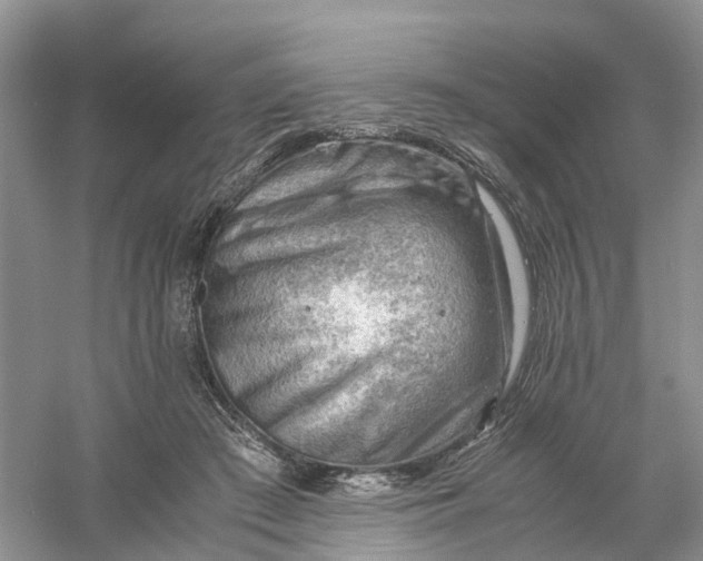 X0000061110409200512022131