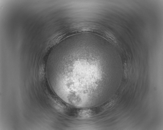 X0000061110410200512022131