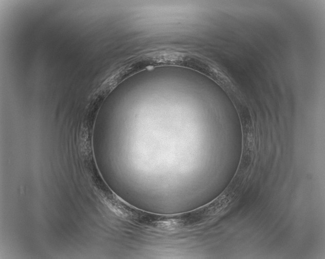 X0000061110411200512022131