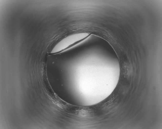 X0000061110412200512022131