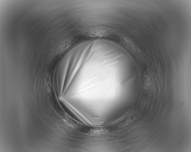 X0000061110414200512022131