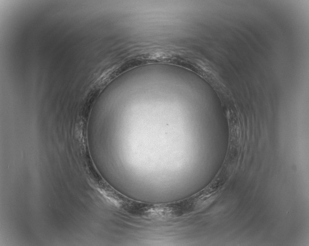 X0000061110415200512022131