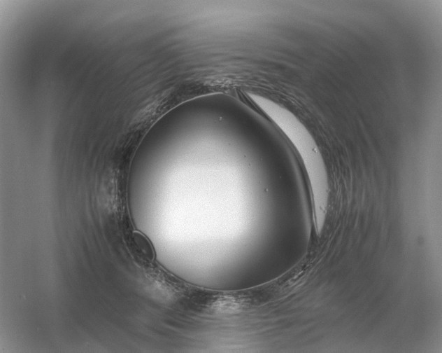 X0000061110416200512022131