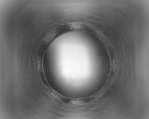 X0000061110417200512022131