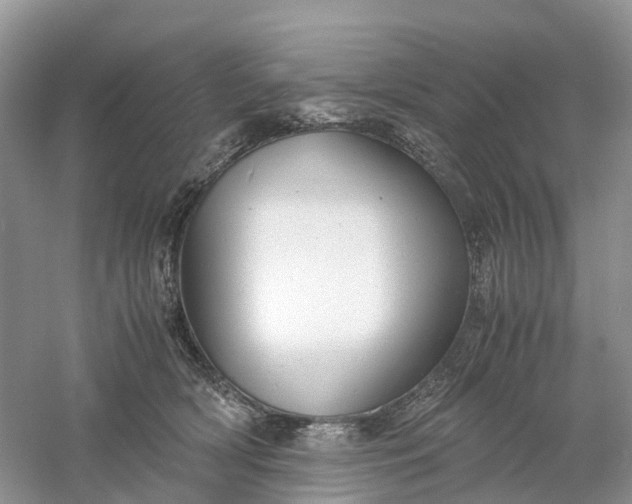 X0000061110418200512022131