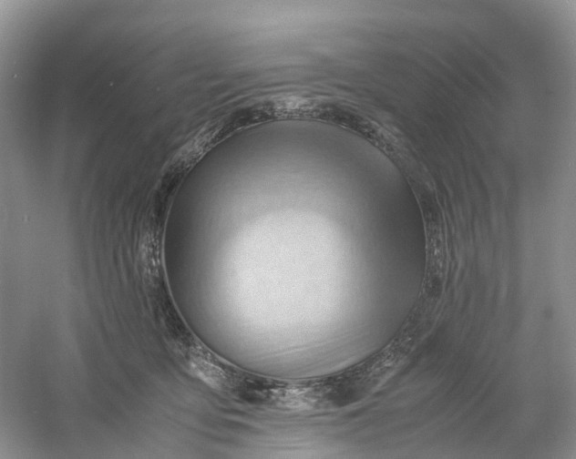 X0000061110419200512022131