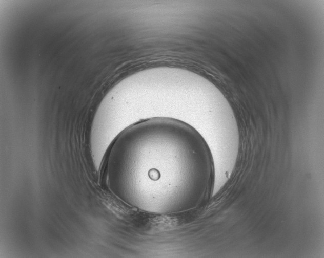 X0000061110421200512022131