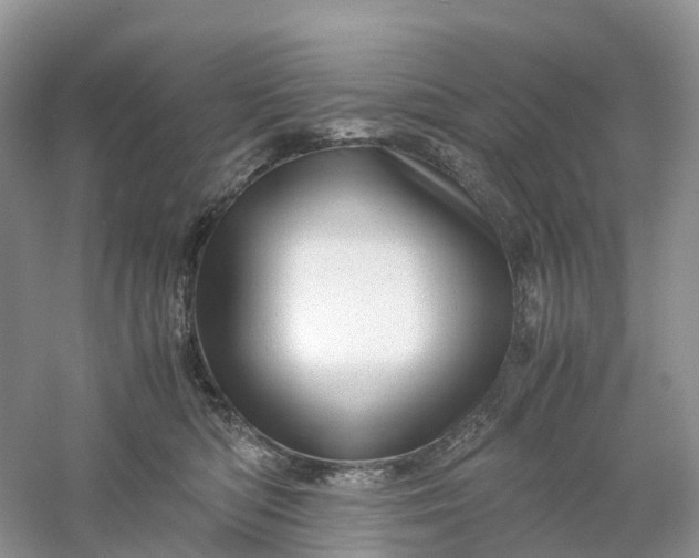 X0000061110422200512022131