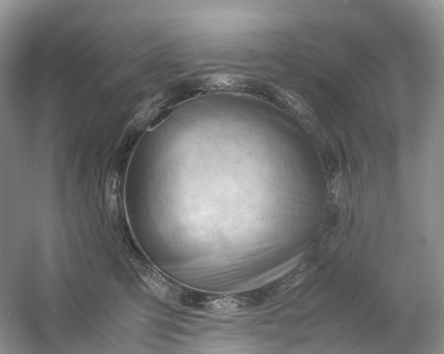 X0000061110423200512022131