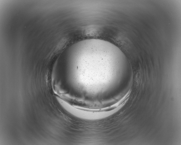 X0000061110424200512022131