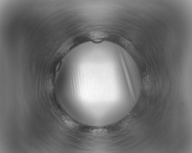 X0000061110426200512022130