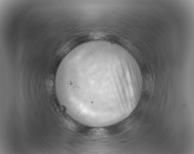 X0000061110427200512022130