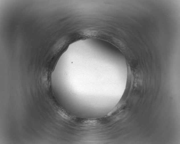 X0000061110428200512022130