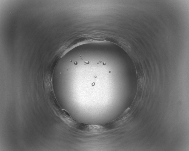 X0000061110429200512022130