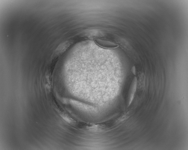 X0000061110430200512022130