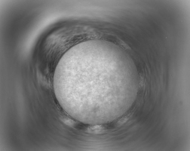 X0000061110431200512022130