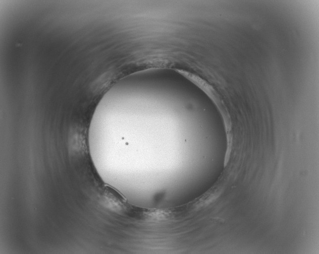 X0000061110432200512022130