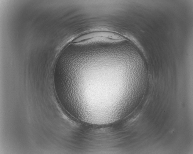 X0000061110433200512022130