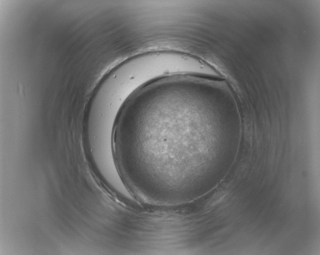 X0000061110434200512022130