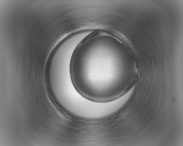 X0000061110436200512022130