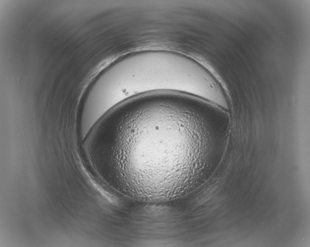 X0000061110437200512022130