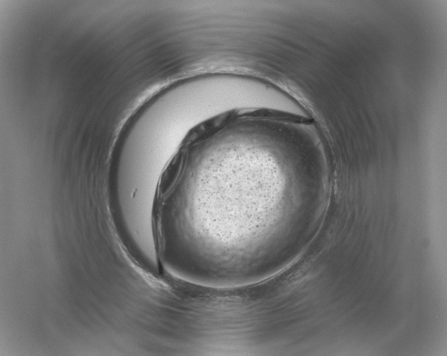 X0000061110438200512022130