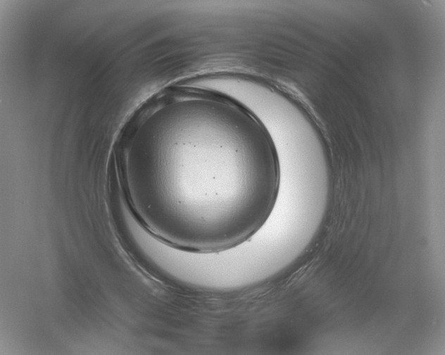 X0000061110439200512022130