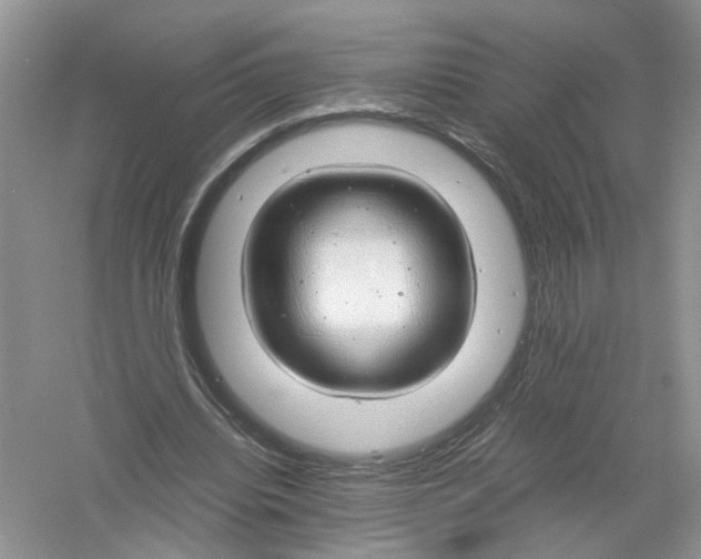 X0000061110440200512022130