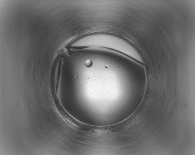 X0000061110442200512022130