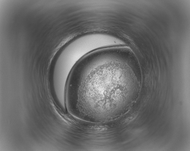 X0000061110443200512022130