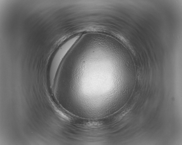 X0000061110445200512022130