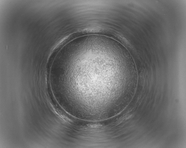 X0000061110446200512022130