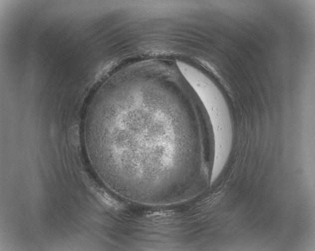 X0000061110447200512022130