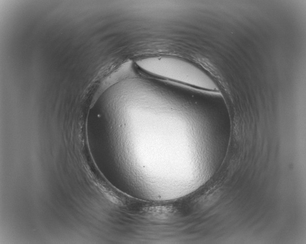 X0000061110449200512022130